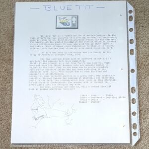 Bluetit Bird Study Stamp - Educational Nature Design